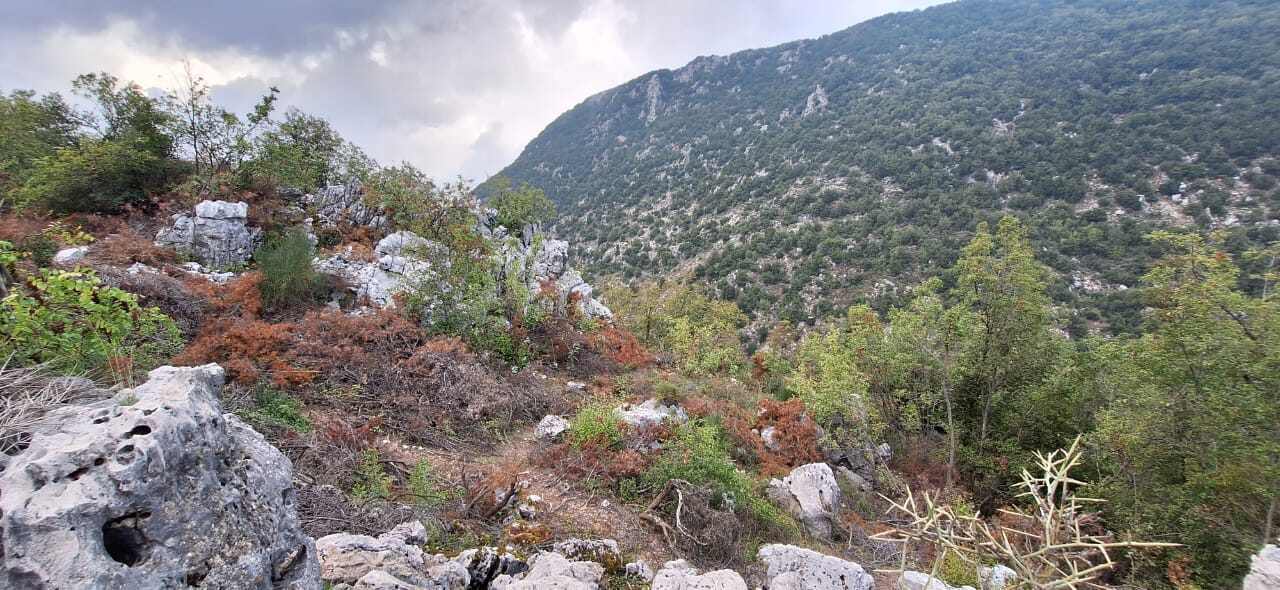 Wata El Joz, Keserwen, Mount Lebanon, ,Residential Land,Buy,16544995003