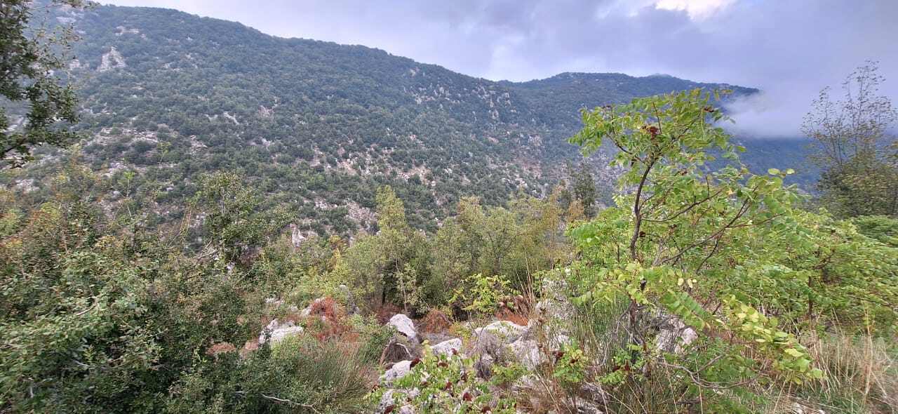 Wata El Joz, Keserwen, Mount Lebanon, ,Residential Land,Buy,16544995003