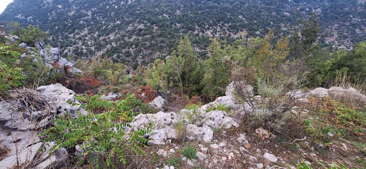 Wata El Joz, Keserwen, Mount Lebanon, ,Residential Land,Buy,16544995003