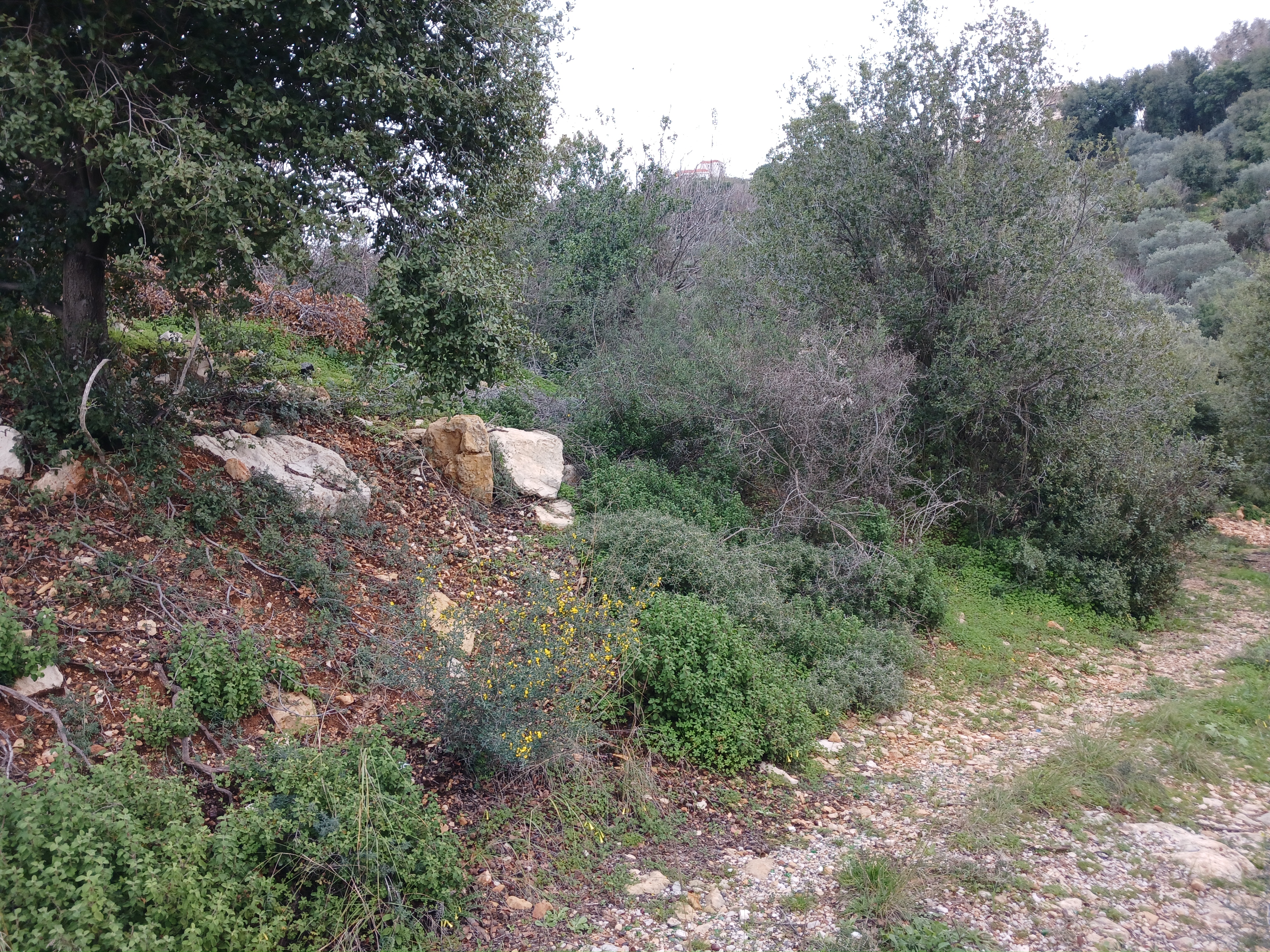 Abey, Aley, Mount Lebanon, ,Residential Land,Buy,10745871804