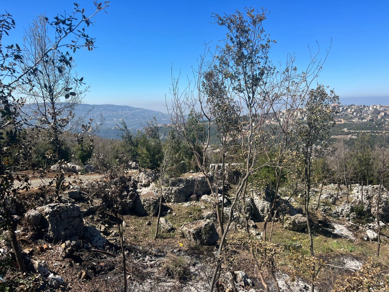 Kfardebian, Keserwen, Mount Lebanon, ,Residential Land,Buy,10629139409