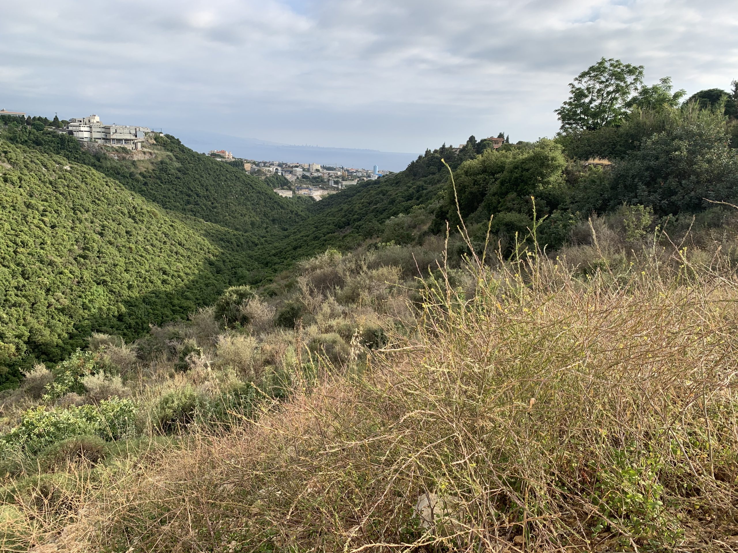 Shikhane, Jbeil, Mount Lebanon, ,Residential Land,Buy,10644233446