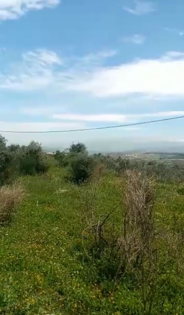 Bejdarfel, Batroun, North, ,Residential Land,Buy,11308832244